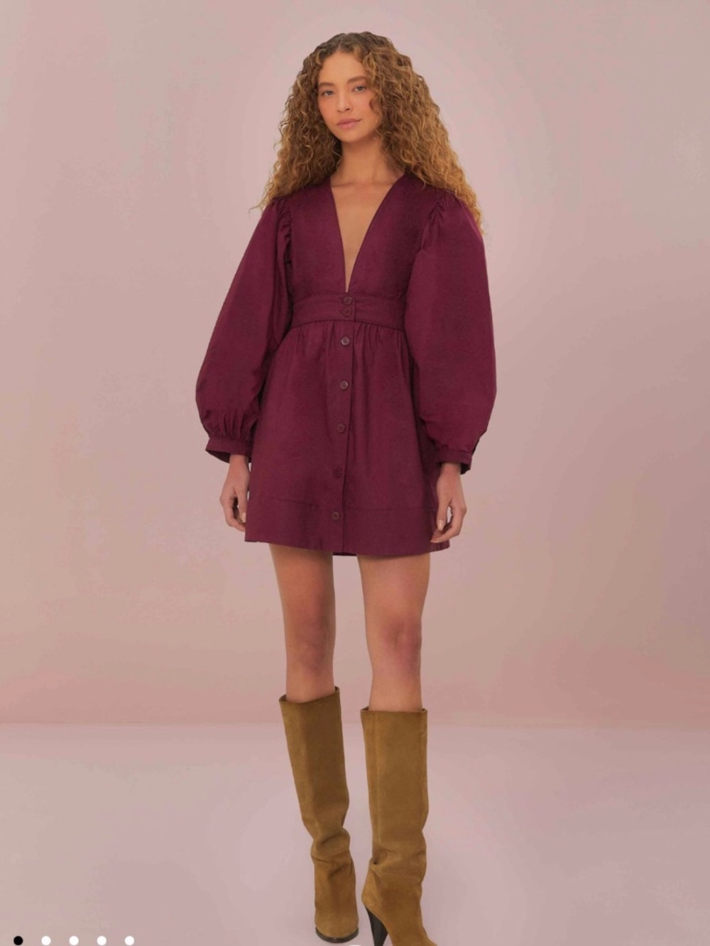 Farm Rio Burgundy Puff Sleeve Mini Dress